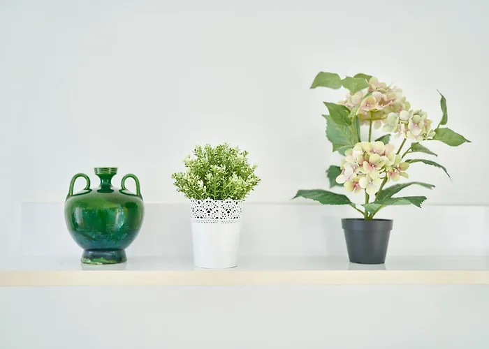 Joya I Villa San José